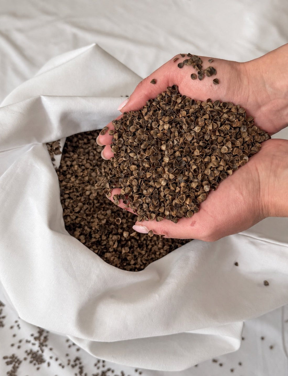 Hands holding a scoop of buckwheat hulls from the open pillow