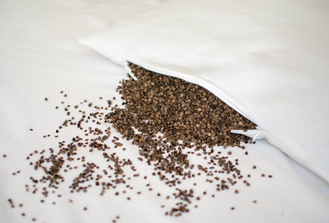Buckwheat hulls spilling out of an unzipped white pillow onto a white sheet