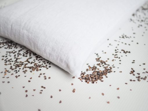 Organic Buckwheat Pillow