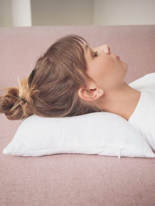 Organic Buckwheat Pillow