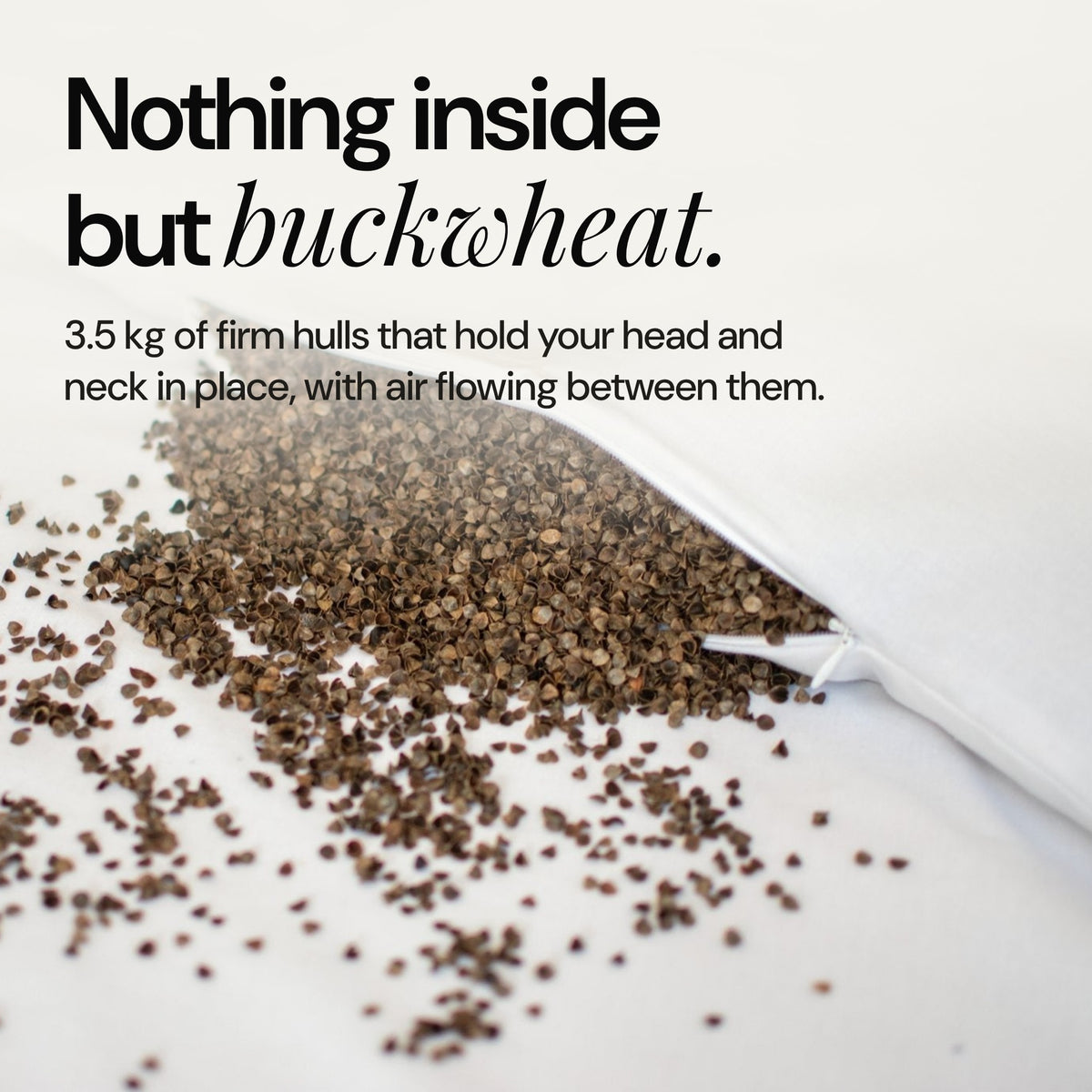 Buckwheat hulls spilling out of the unzipped No Fluff pillow: nothing inside but buckwheat